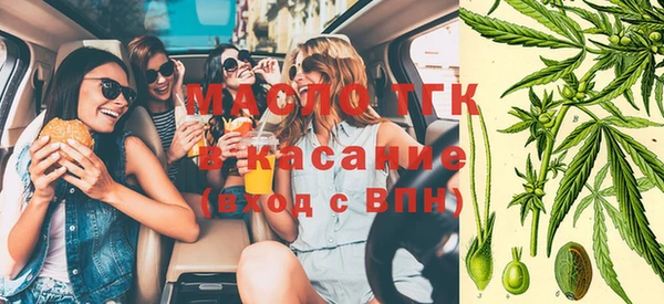 mix Богородицк