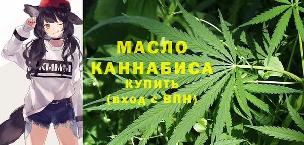 mix Богородицк