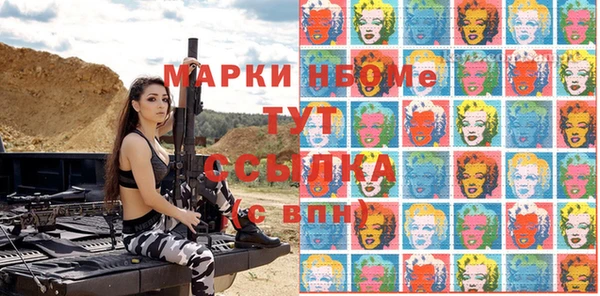 mix Богородицк