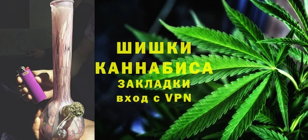 mix Богородицк