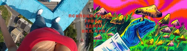COCAINE Богданович