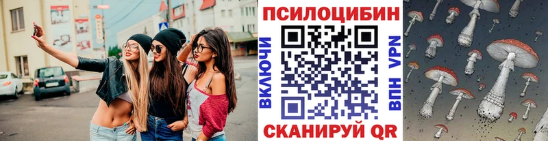 Купить  Бор  Галлюциногенные грибы Psilocybine cubensis 